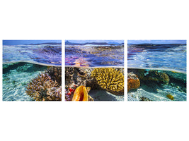 panoramic-3-piece-canvas-print-lagoon-life