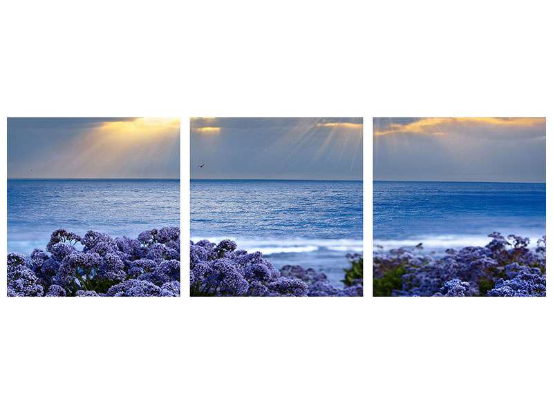 panoramic-3-piece-canvas-print-lavender-and-sea