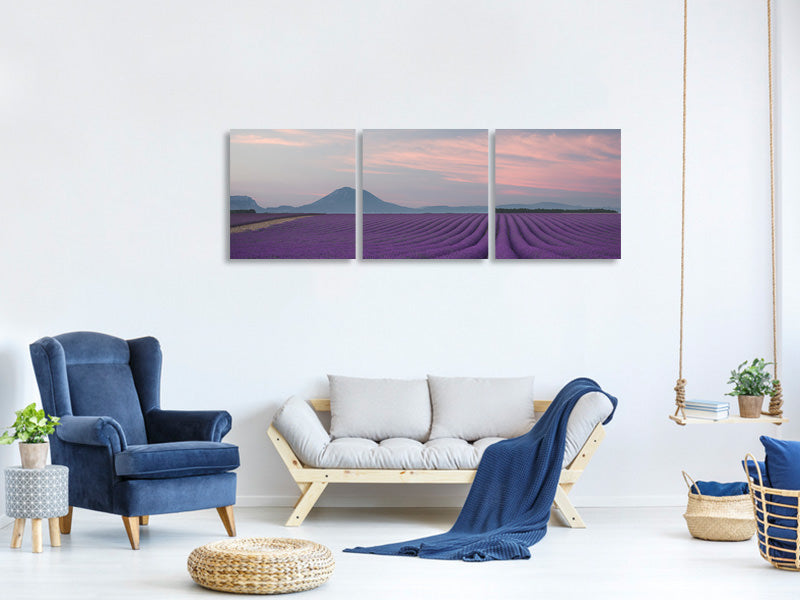 panoramic-3-piece-canvas-print-lavender-field