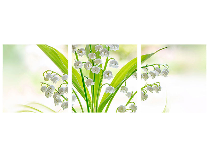panoramic-3-piece-canvas-print-lily-of-the-valley-ii