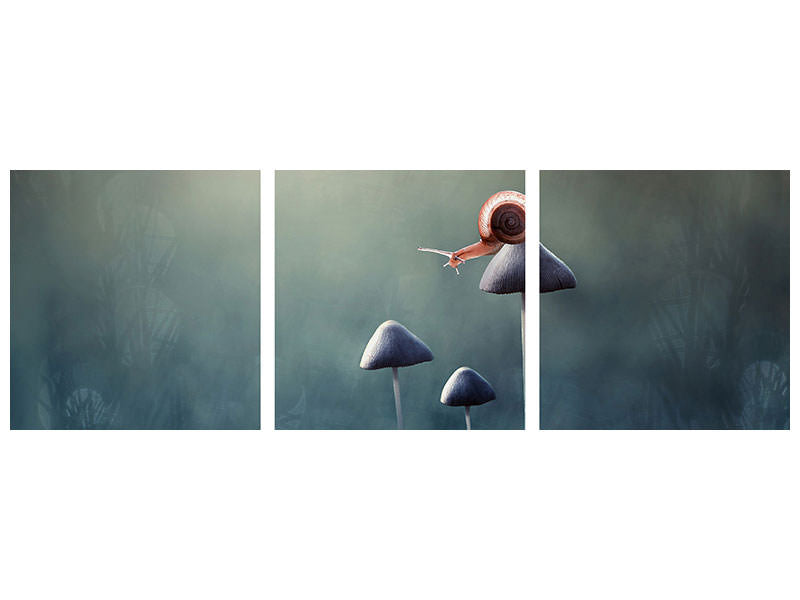panoramic-3-piece-canvas-print-lonely