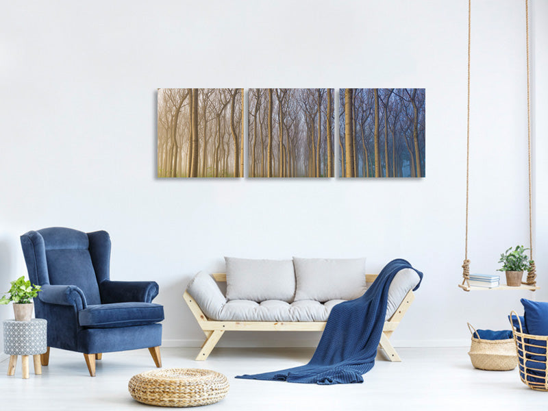 panoramic-3-piece-canvas-print-morning-of-the-forest
