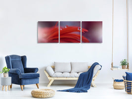 panoramic-3-piece-canvas-print-red-passion
