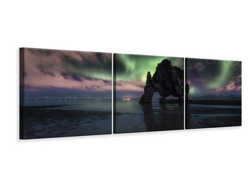 panoramic-3-piece-canvas-print-rhino-iii