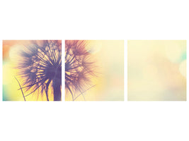panoramic-3-piece-canvas-print-the-dandelion-in-the-light