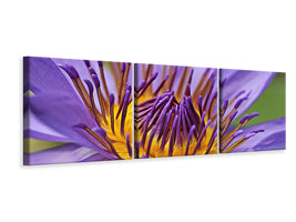 panoramic-3-piece-canvas-print-xxl-water-lily-in-purple