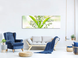 panoramic-canvas-print-lily-of-the-valley-ii