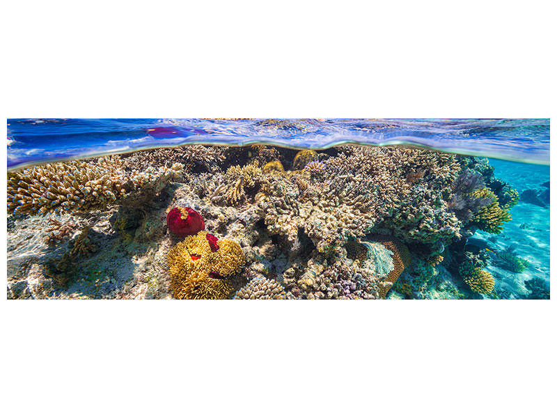 panoramic-canvas-print-mayotte-the-reef