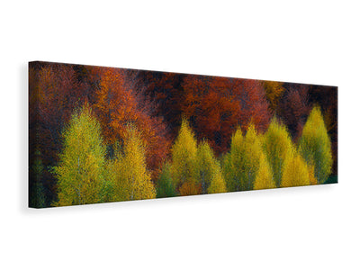 panoramic-canvas-print-nimbrethil