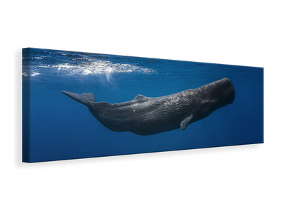 panoramic-canvas-print-sperm-whale