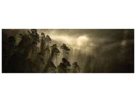 panoramic-canvas-print-streiflichter