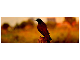 panoramic-canvas-print-the-crow-in-the-evening-light